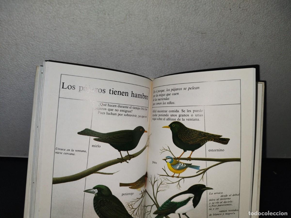Libros de segunda mano: 90- EL LIBRO DEL INVIERNO - LAURENCE OTTENHEIMER - ALTEA - 1988 - Foto 9