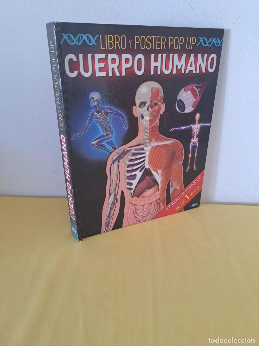 Libros de segunda mano: LIBRO Y POSTER POP PUP CUERPO HUMANO - LIBRO DIVO 2014 - Foto 1