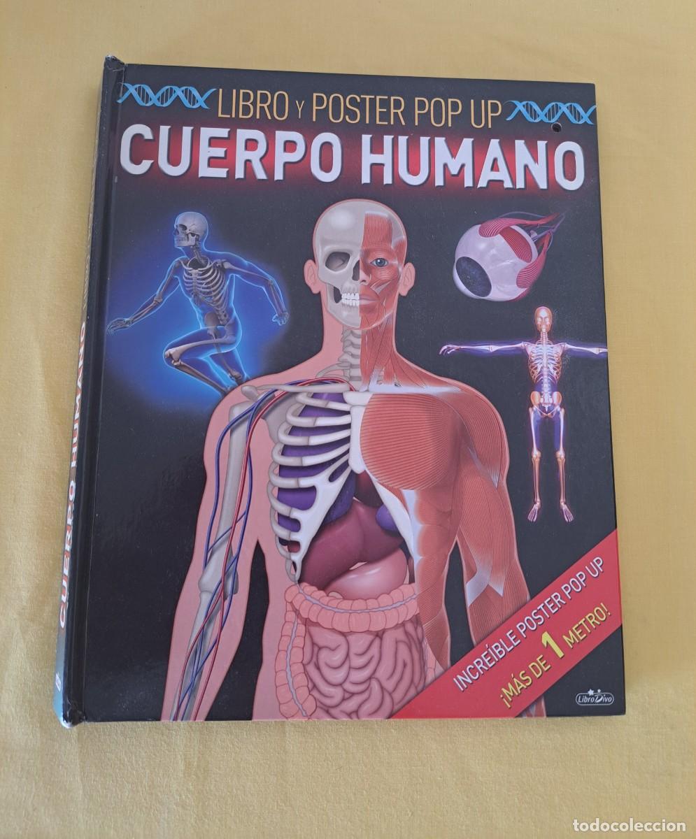 Libros de segunda mano: LIBRO Y POSTER POP PUP CUERPO HUMANO - LIBRO DIVO 2014 - Foto 2