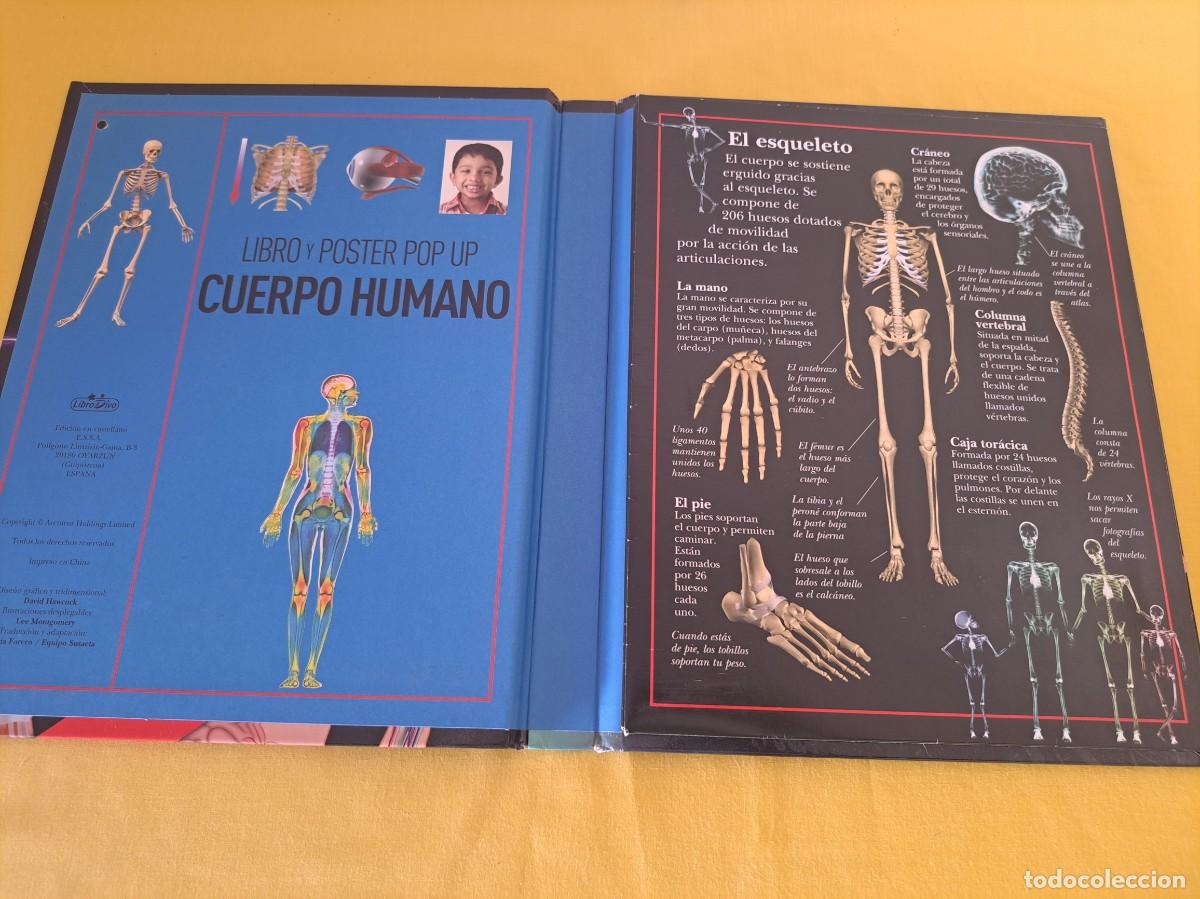 Libros de segunda mano: LIBRO Y POSTER POP PUP CUERPO HUMANO - LIBRO DIVO 2014 - Foto 3
