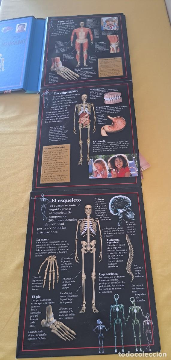 Libros de segunda mano: LIBRO Y POSTER POP PUP CUERPO HUMANO - LIBRO DIVO 2014 - Foto 4