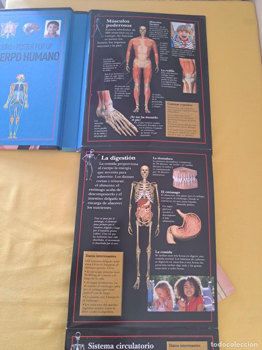Libros de segunda mano: LIBRO Y POSTER POP PUP CUERPO HUMANO - LIBRO DIVO 2014 - Foto 5