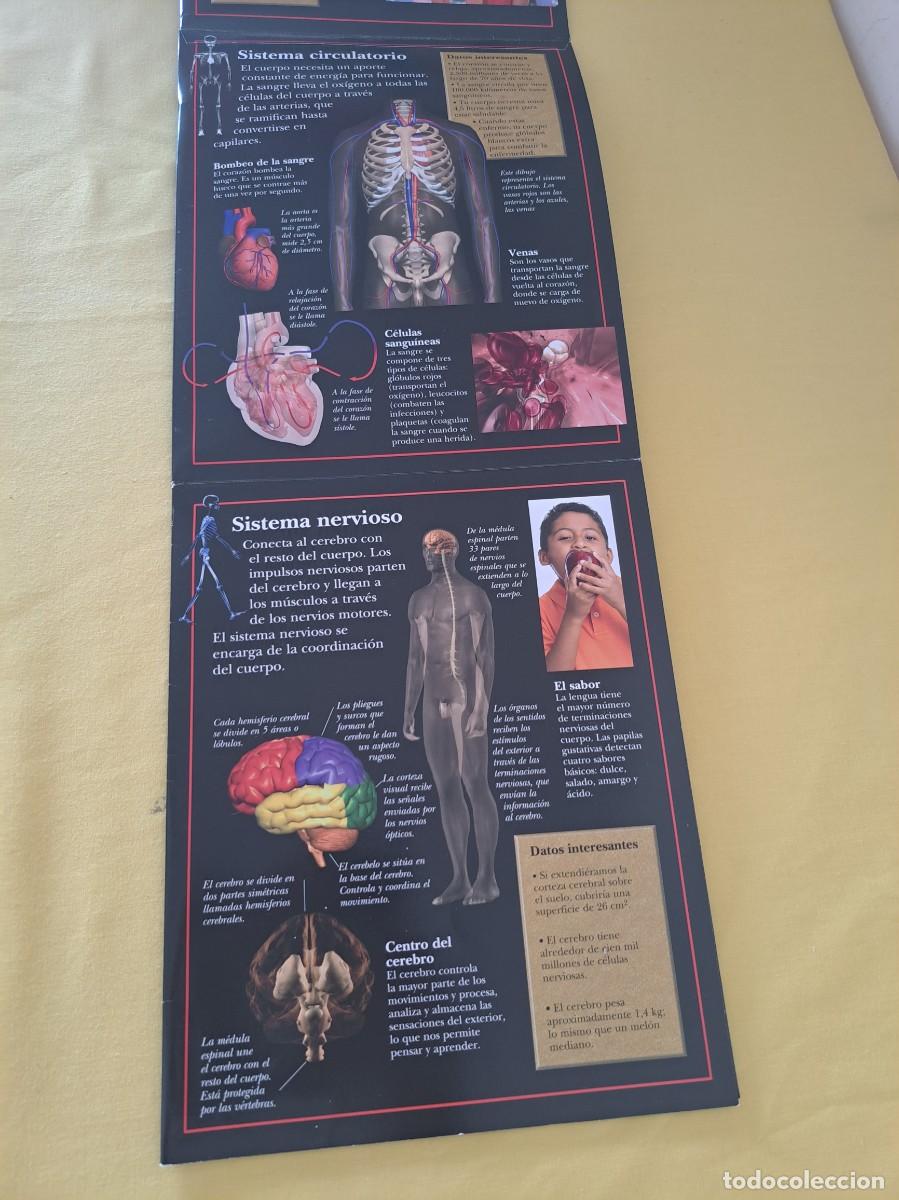 Libros de segunda mano: LIBRO Y POSTER POP PUP CUERPO HUMANO - LIBRO DIVO 2014 - Foto 6
