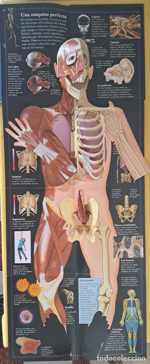 Libros de segunda mano: LIBRO Y POSTER POP PUP CUERPO HUMANO - LIBRO DIVO 2014 - Foto 7