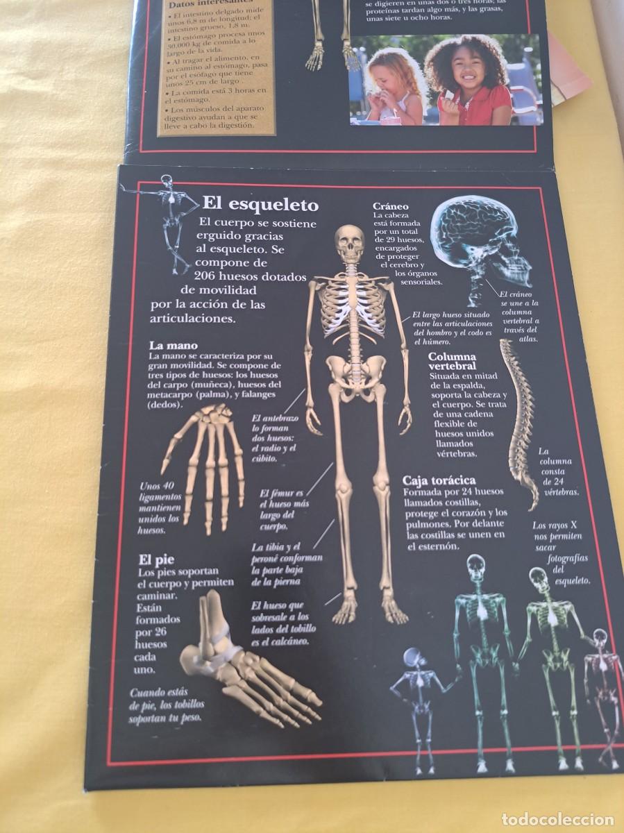 Libros de segunda mano: LIBRO Y POSTER POP PUP CUERPO HUMANO - LIBRO DIVO 2014 - Foto 8