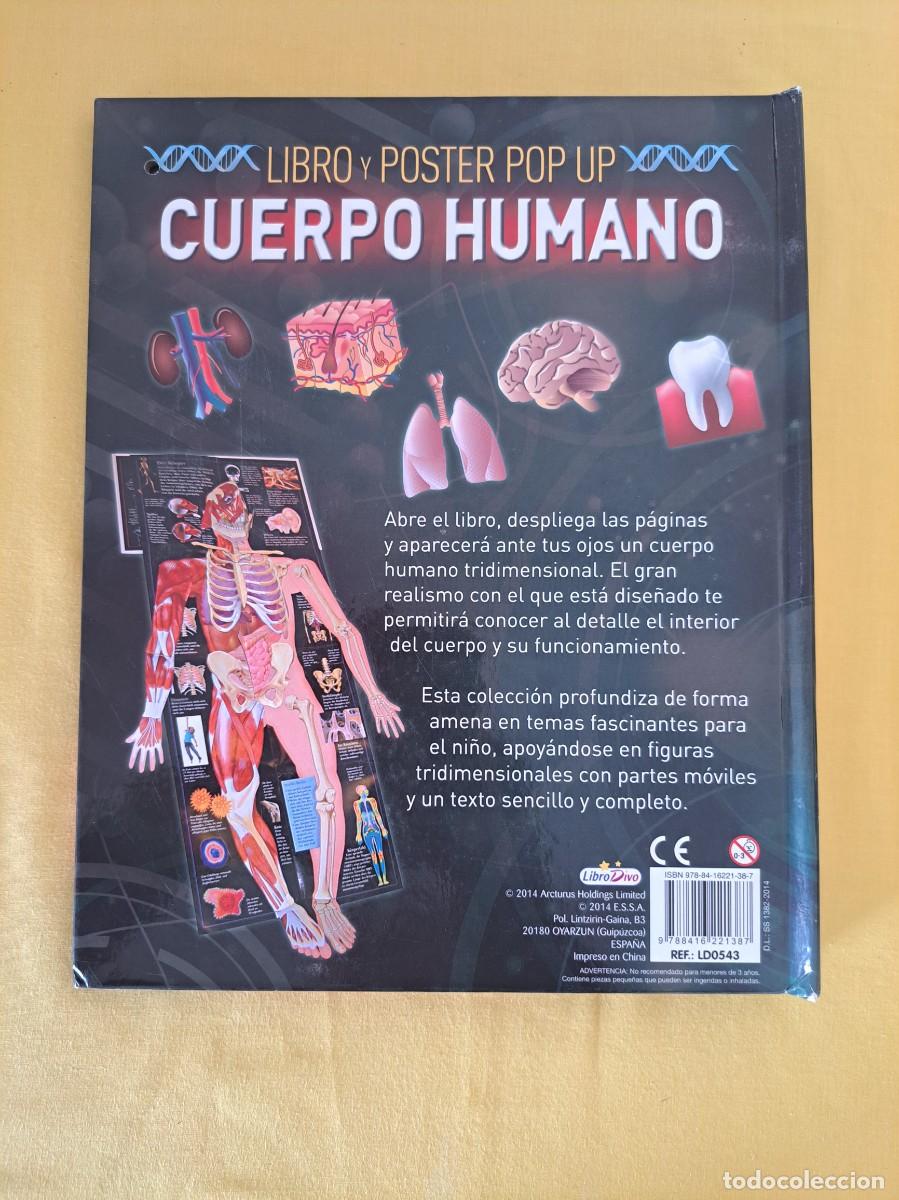 Libros de segunda mano: LIBRO Y POSTER POP PUP CUERPO HUMANO - LIBRO DIVO 2014 - Foto 9