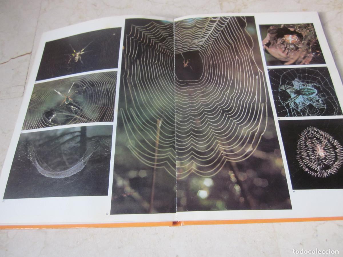Libros de segunda mano: MAX A. WYSS - LA NATURALEZA - JAIMES LIBROS 1977 - Foto 3