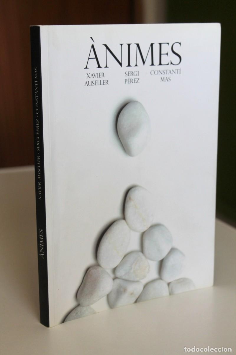 Libros de segunda mano: X. Auseller, S. P&eacute;rez i C. Mas - &Agrave;nimes - Kit-Book 2016 - Foto 1