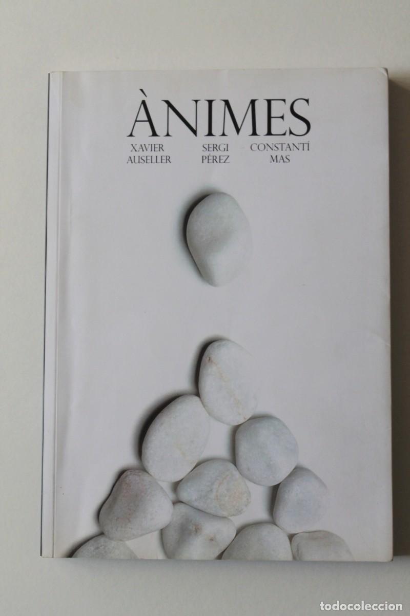 Libros de segunda mano: X. Auseller, S. P&eacute;rez i C. Mas - &Agrave;nimes - Kit-Book 2016 - Foto 2