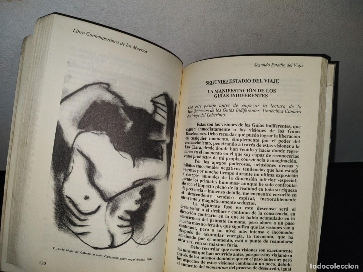 Libros de segunda mano: 91- EL LIBRO CONTEMPOR&Aacute;NEO DE LOS MUERTOS - E. J. GOLD - 2001 - Foto 10