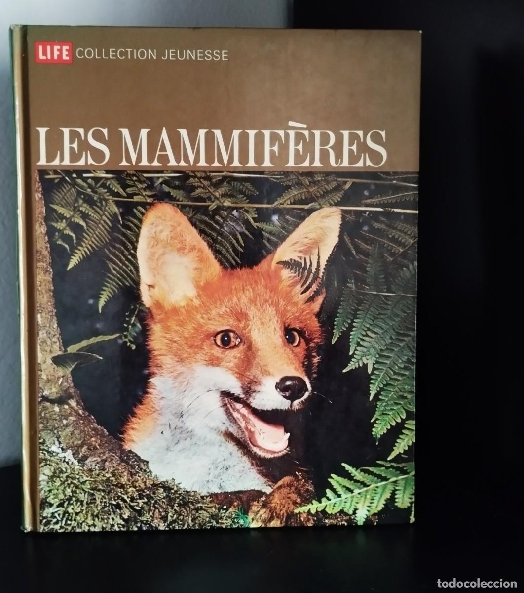 Libros de segunda mano: Les Mammif&egrave;res - Foto 1