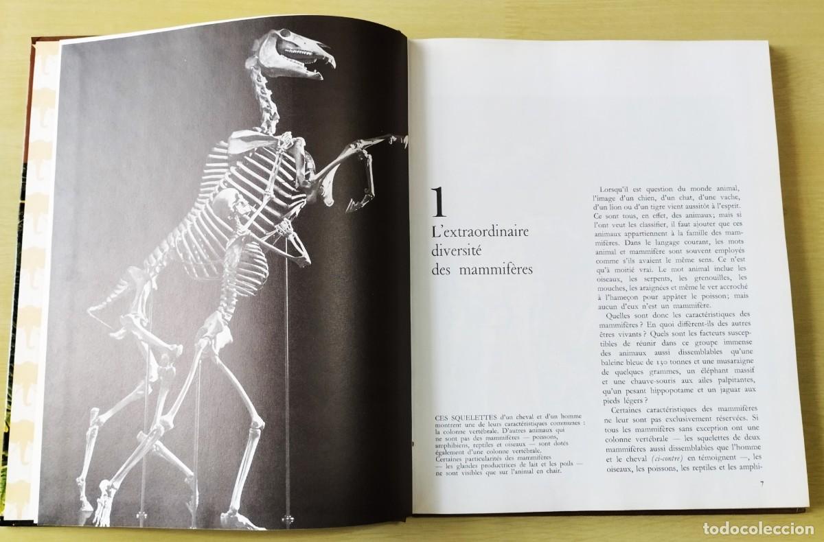 Libros de segunda mano: Les Mammif&egrave;res - Foto 5