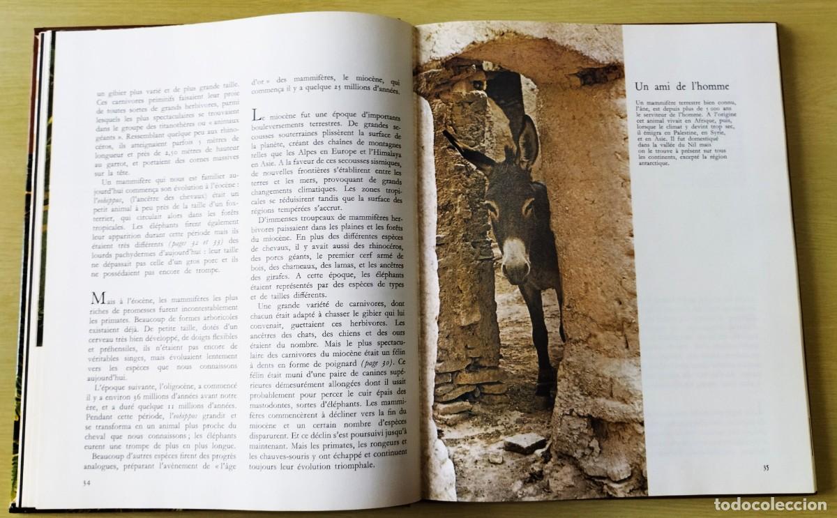 Libros de segunda mano: Les Mammif&egrave;res - Foto 6