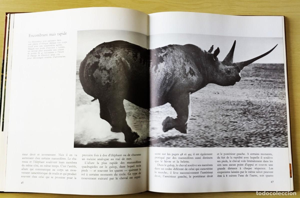 Libros de segunda mano: Les Mammif&egrave;res - Foto 7
