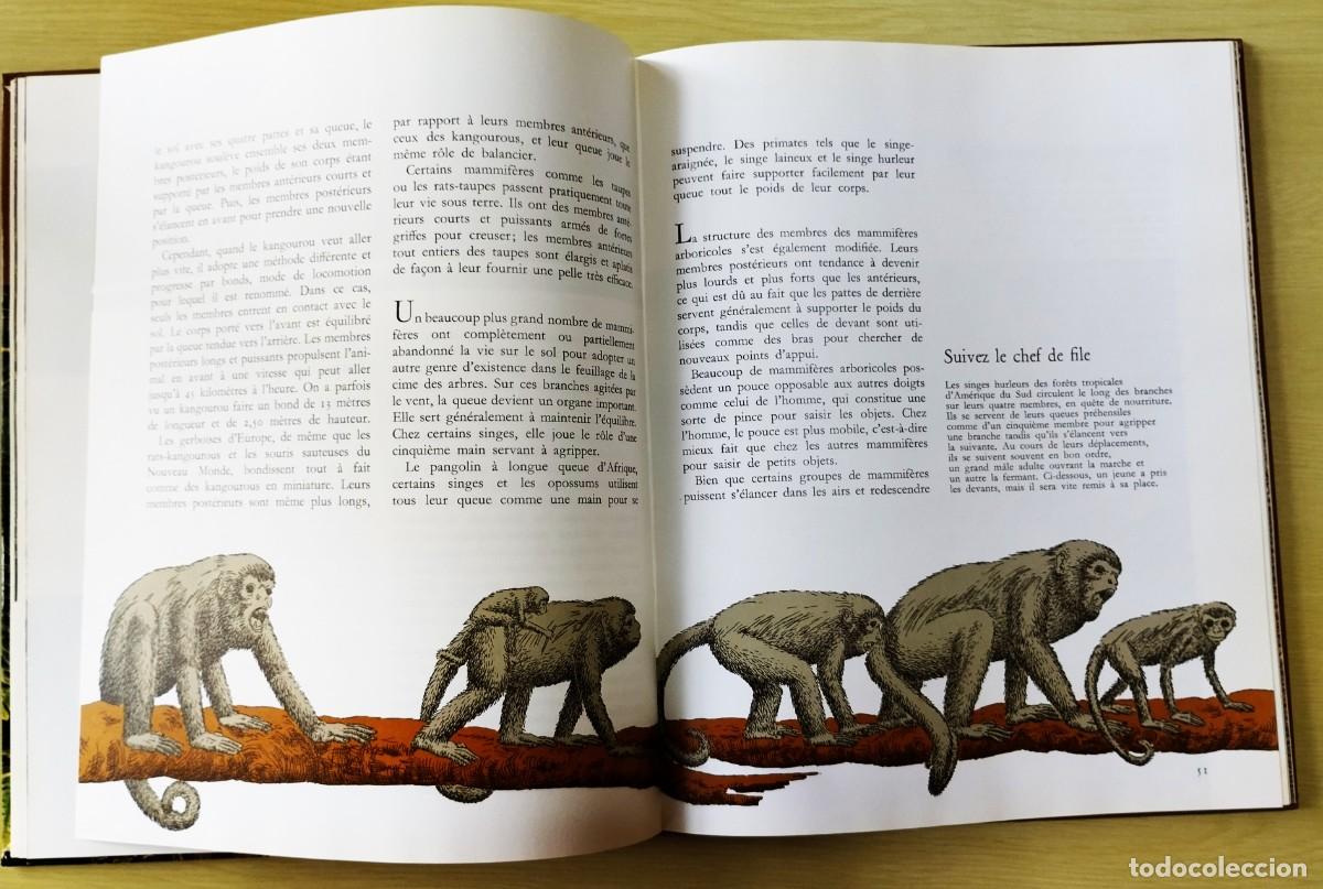 Libros de segunda mano: Les Mammif&egrave;res - Foto 8