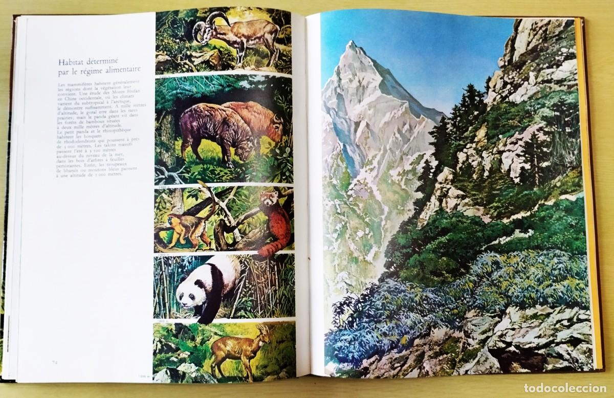Libros de segunda mano: Les Mammif&egrave;res - Foto 9