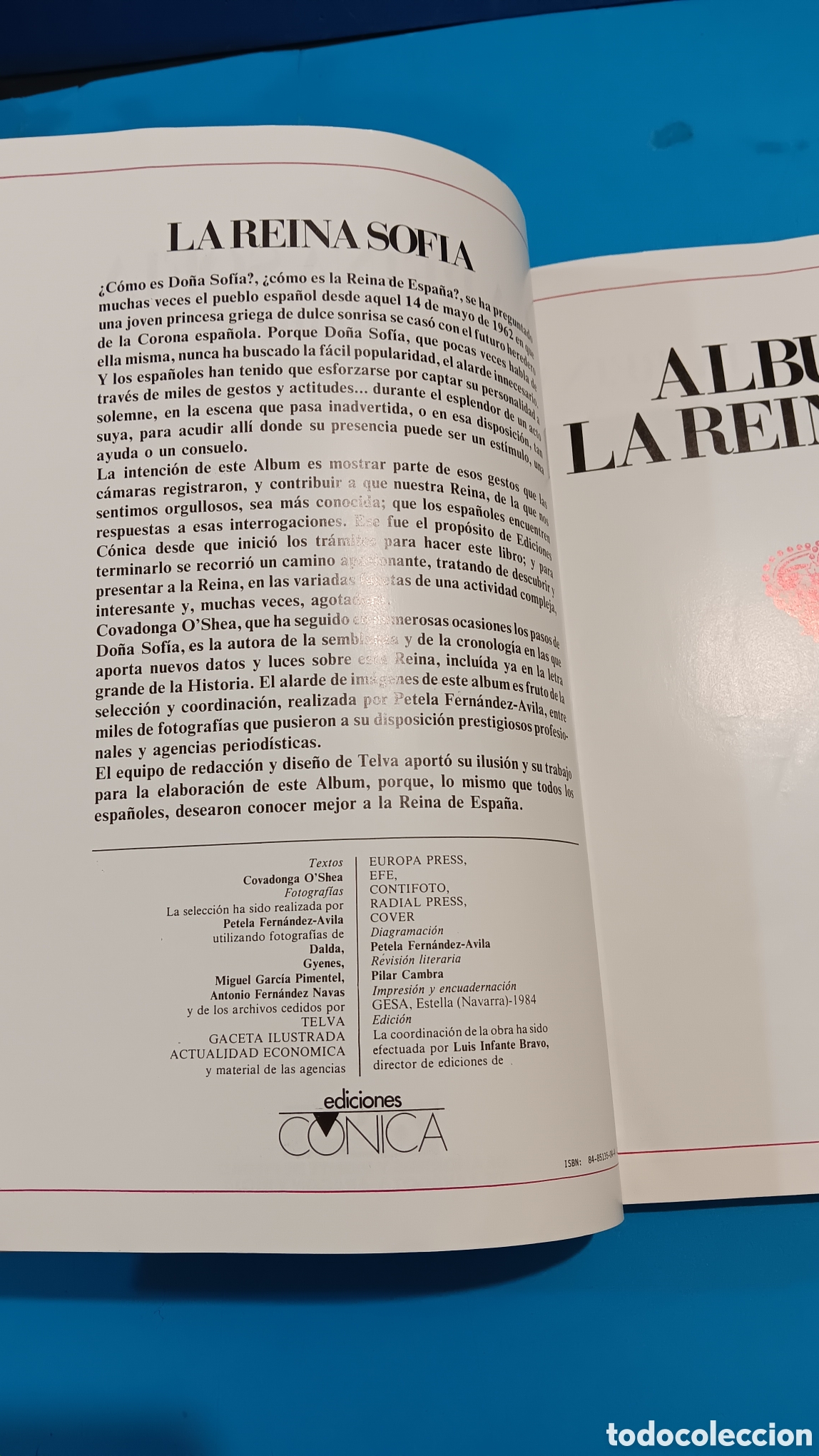 Libros de segunda mano: ALBUM DE LA REINA SOF&Iacute;A........TEXTO DE COVADONGA OSHEA..........1984... - Foto 12