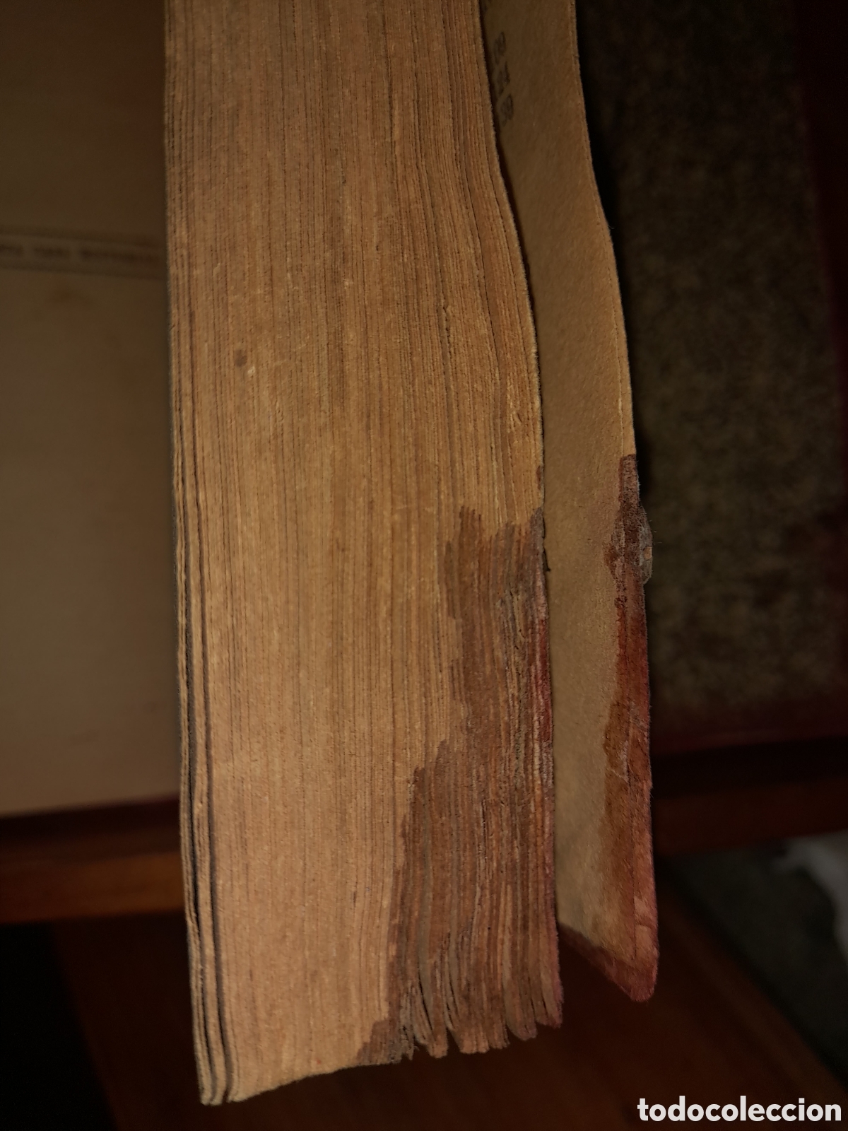 Libros de segunda mano: F DOSTOIEVSKI La Casa de los Muertos MAUCCI - Foto 7
