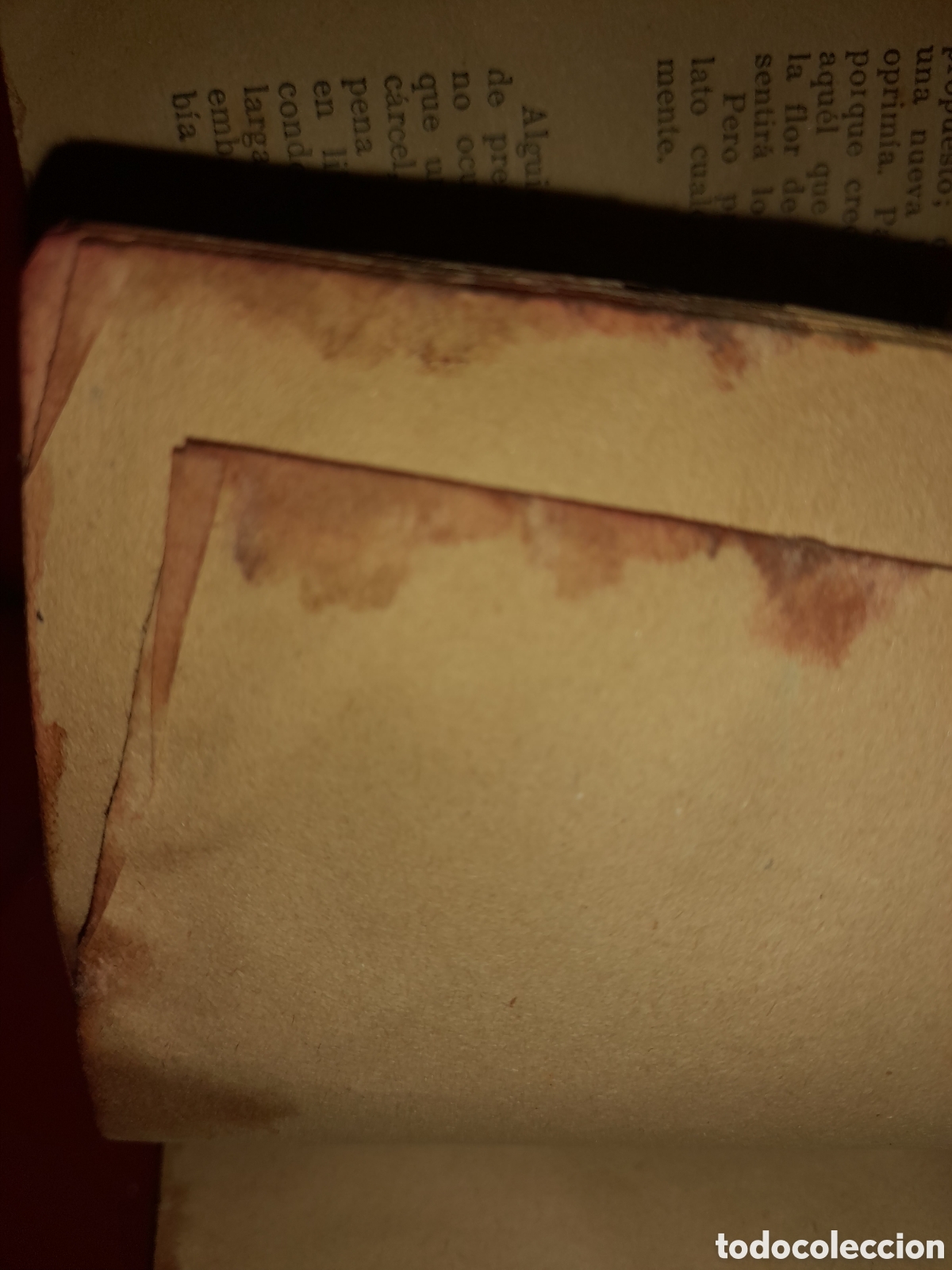 Libros de segunda mano: F DOSTOIEVSKI La Casa de los Muertos MAUCCI - Foto 18
