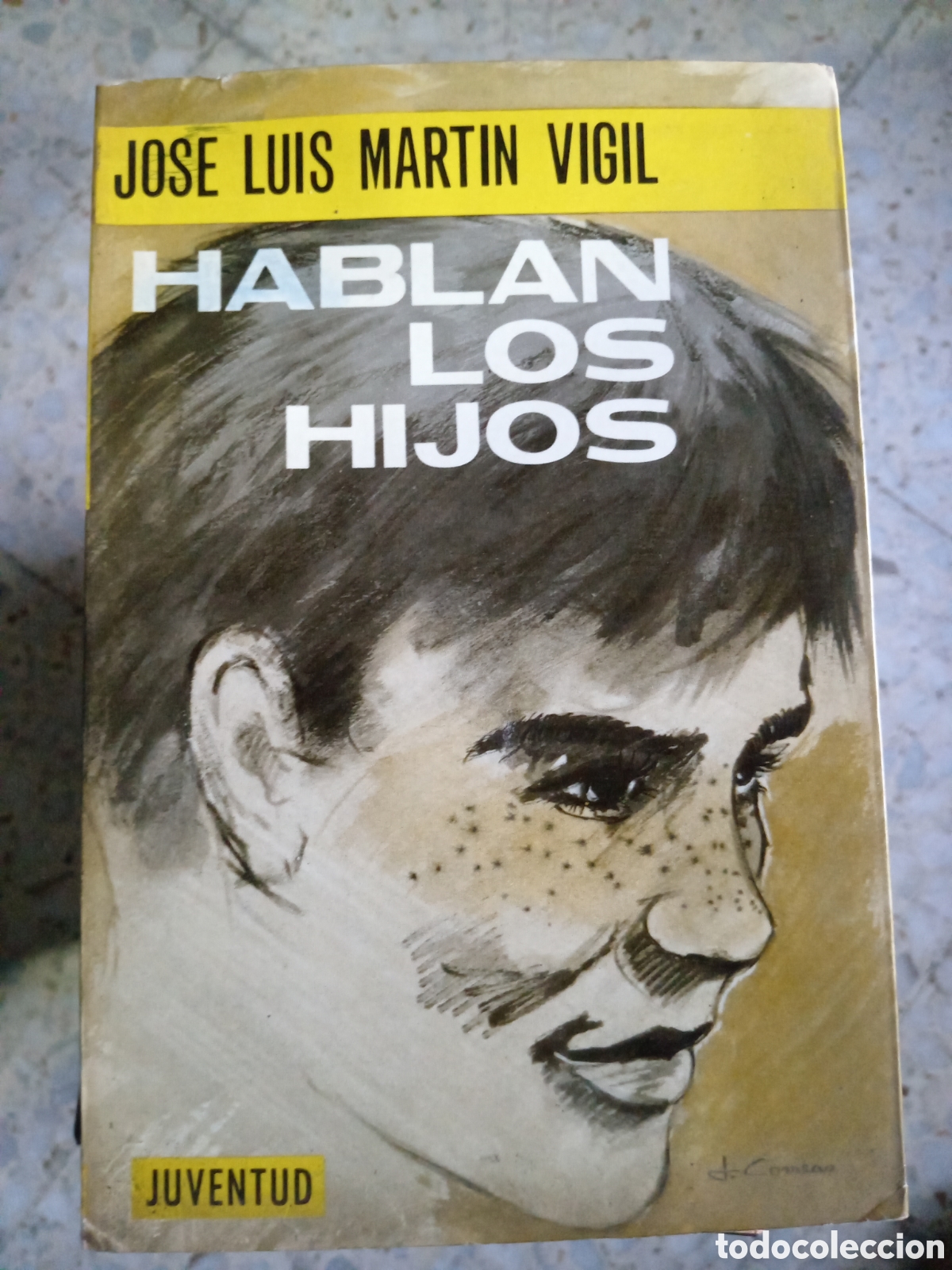 Libros de segunda mano: HABLAN LOS HIJOS JOSE LUIS MARTIN VIGIL - Foto 1