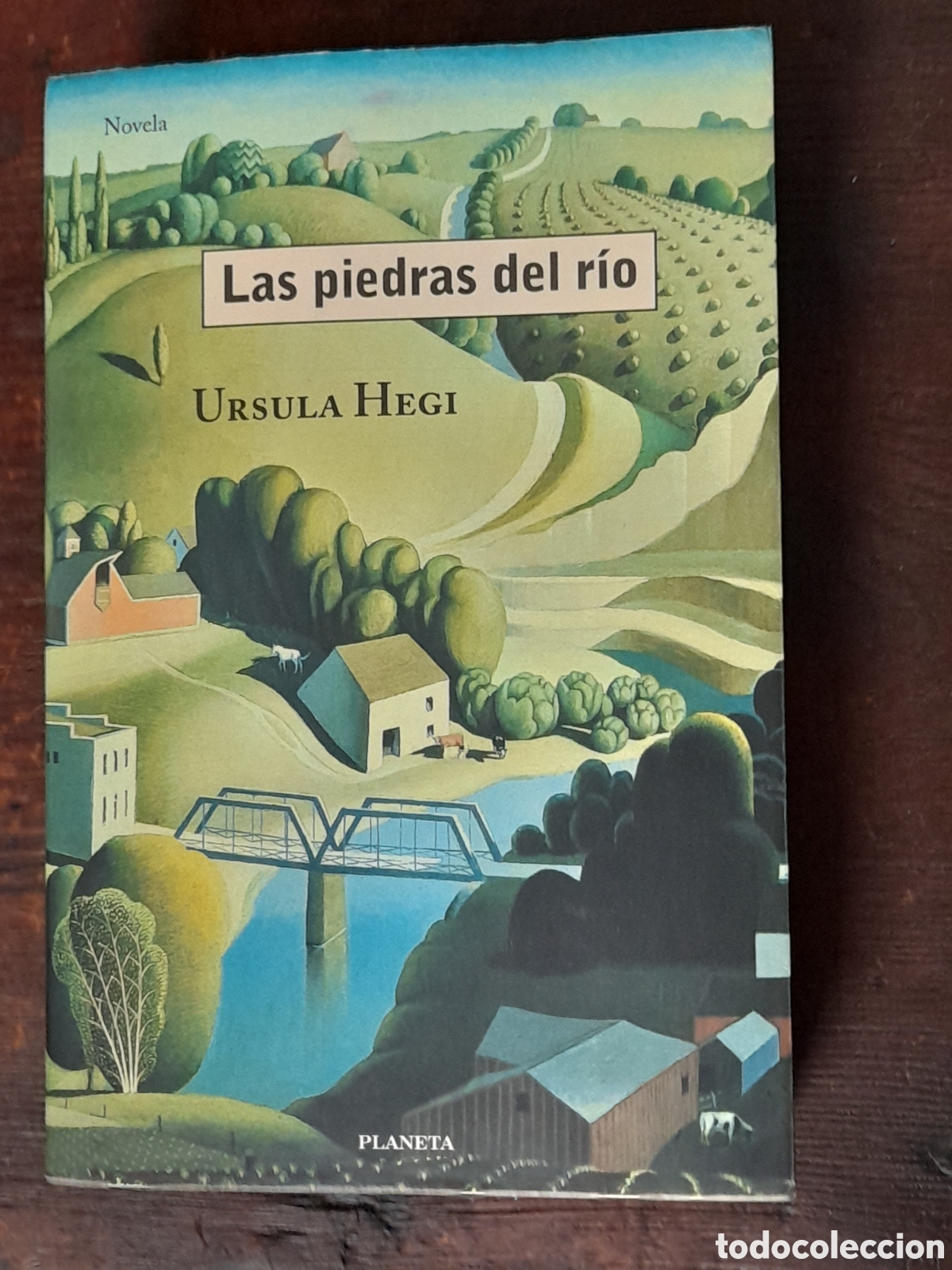 Libros de segunda mano: Las Piedras De R&iacute;o, &Uacute;rsula Hegi. Planeta 1999 - Foto 1
