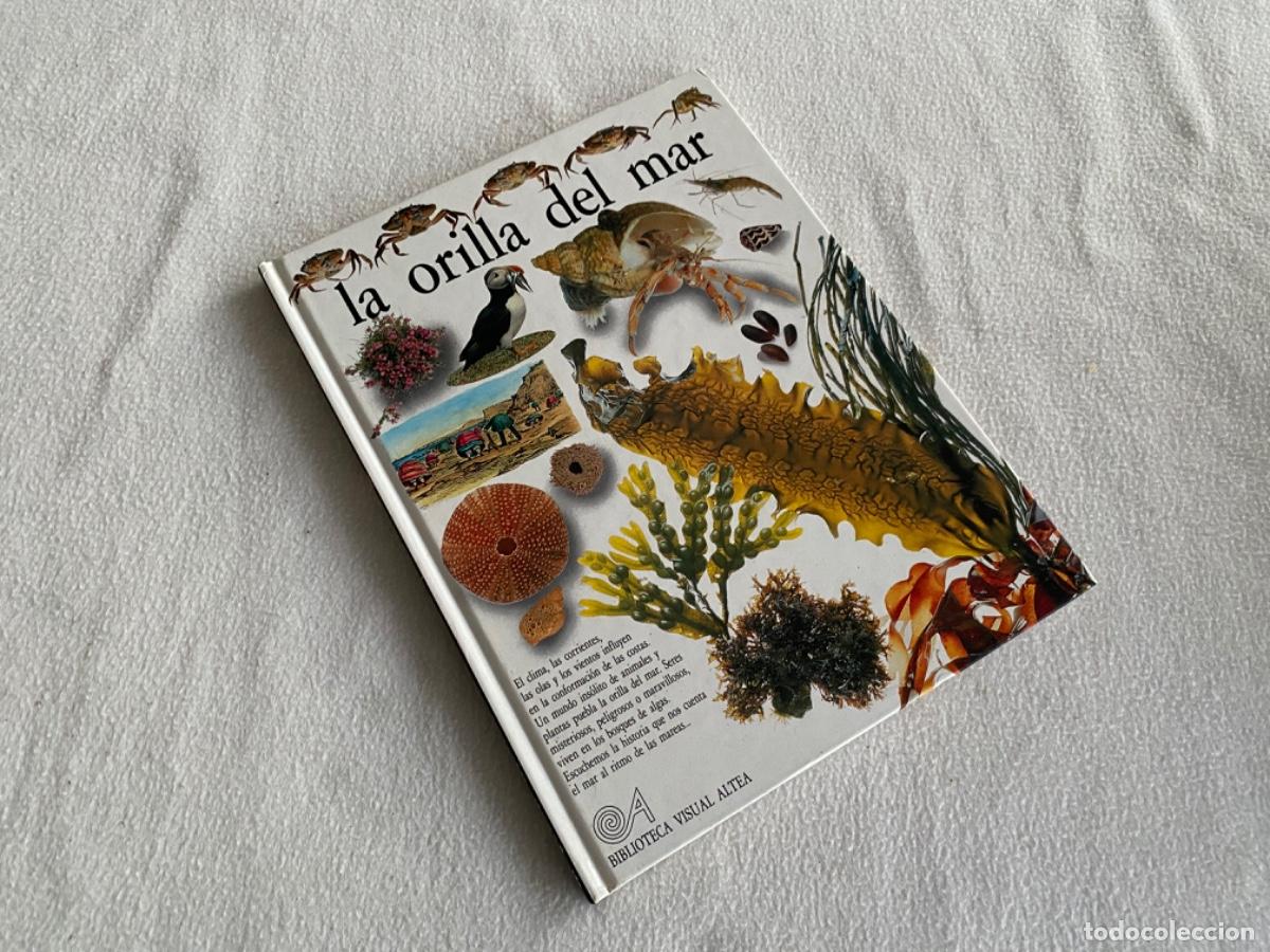 Libros de segunda mano: La orilla del mar la biblioteca visual altea - Foto 1