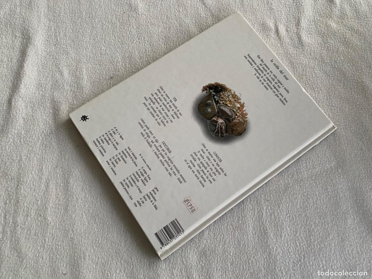 Libros de segunda mano: La orilla del mar la biblioteca visual altea - Foto 3