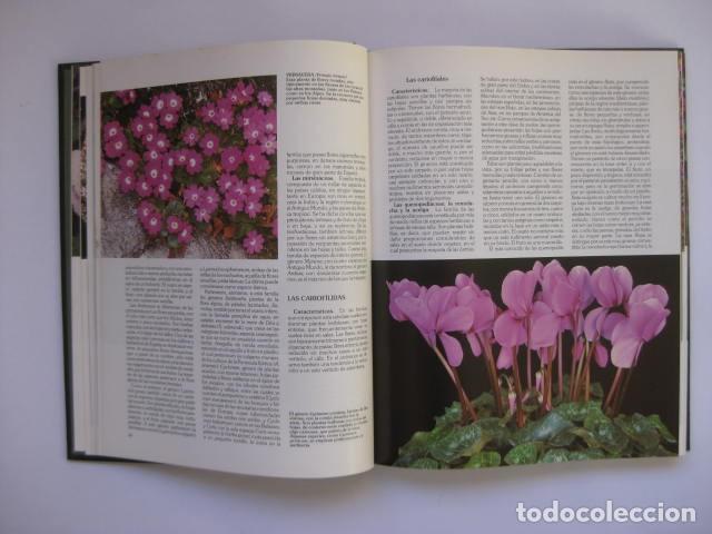 Libros de segunda mano: LIBRO HISTORIA NATURAL. MINERALOGIA. - Foto 2