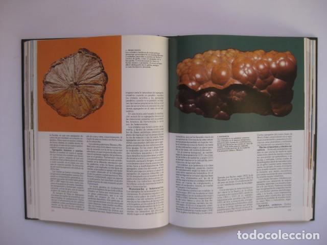 Libros de segunda mano: LIBRO HISTORIA NATURAL. MINERALOGIA. - Foto 3