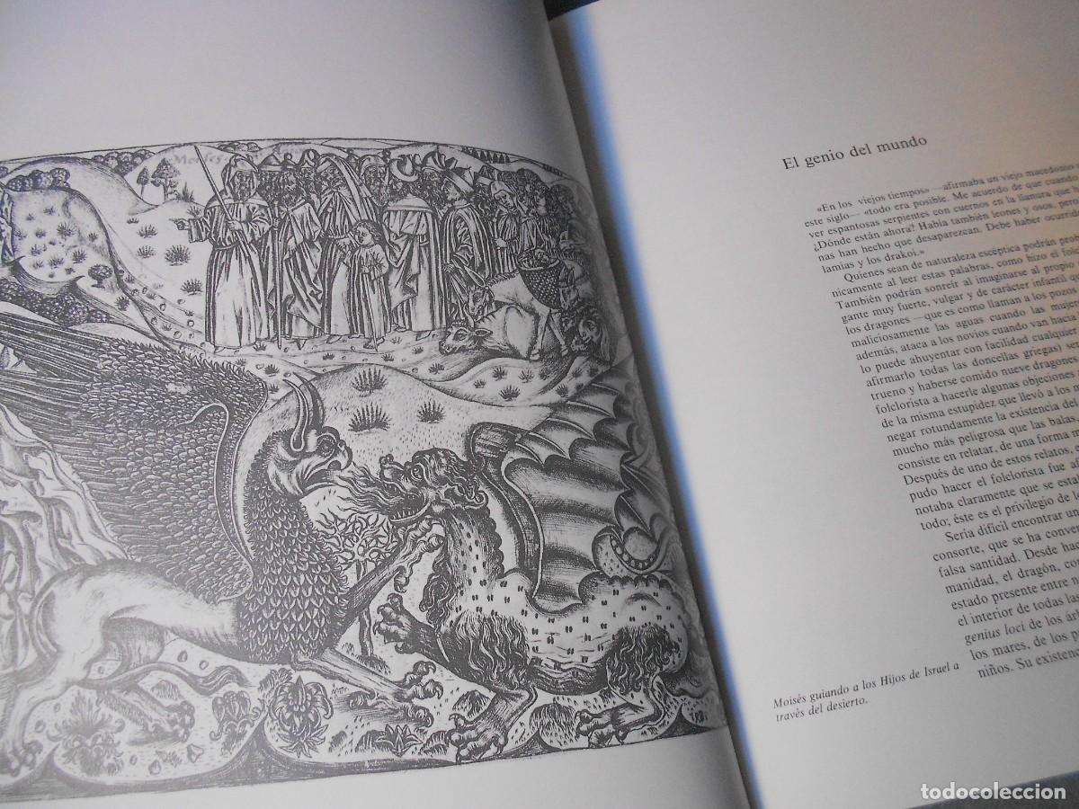 Libros de segunda mano: EL DRAGON - Foto 9