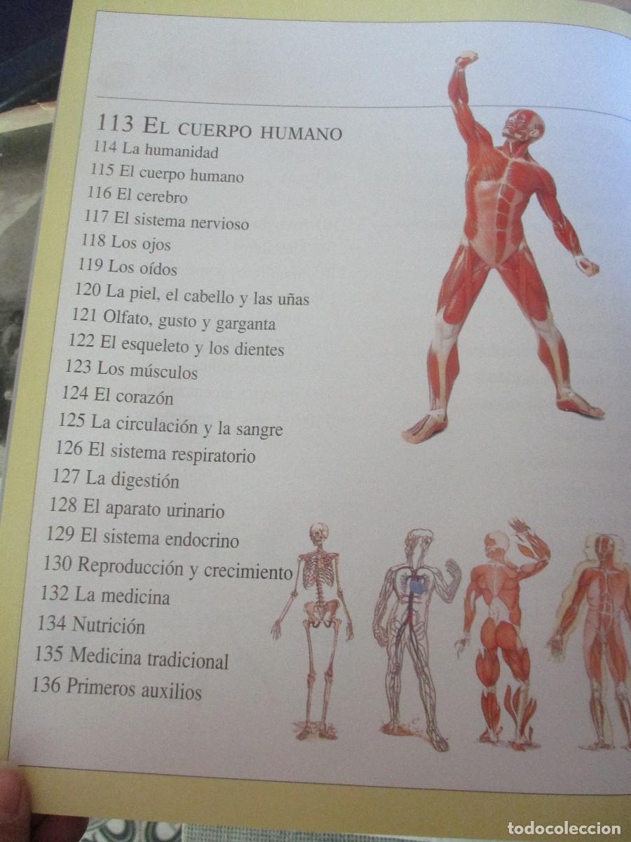 Libros de segunda mano: EL GRAN LIBRO DE CONSULTA EL PA&Iacute;S W24020 - Foto 4