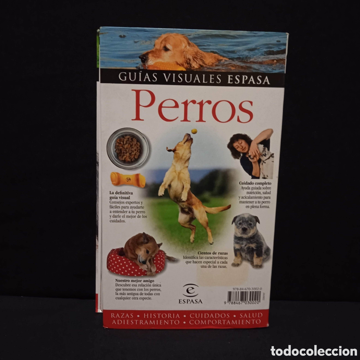 Libros de segunda mano: PERROS GU&Iacute;A VISUAL - BRUCE FOGLE - ESPASA 2006 #8225 - Foto 2