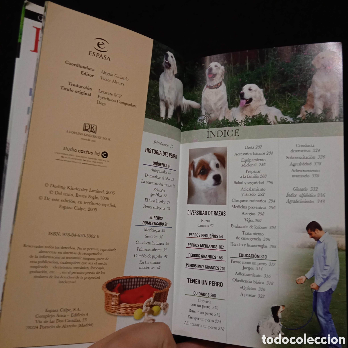 Libros de segunda mano: PERROS GU&Iacute;A VISUAL - BRUCE FOGLE - ESPASA 2006 #8225 - Foto 3