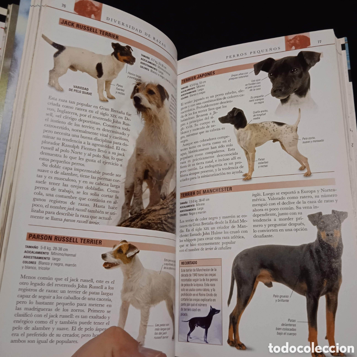 Libros de segunda mano: PERROS GU&Iacute;A VISUAL - BRUCE FOGLE - ESPASA 2006 #8225 - Foto 4