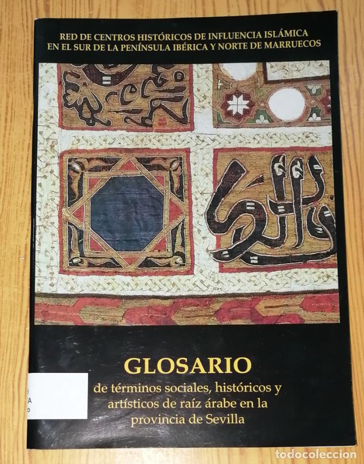 Libri di seconda mano: GLOSARIO DE T&Eacute;RMINOS SOCIALES, HIST&Oacute;RICOS Y ART&Iacute;STICOS DE RA&Iacute;Z &Aacute;RABE EN LA PROVINCIA DE SEVILLA