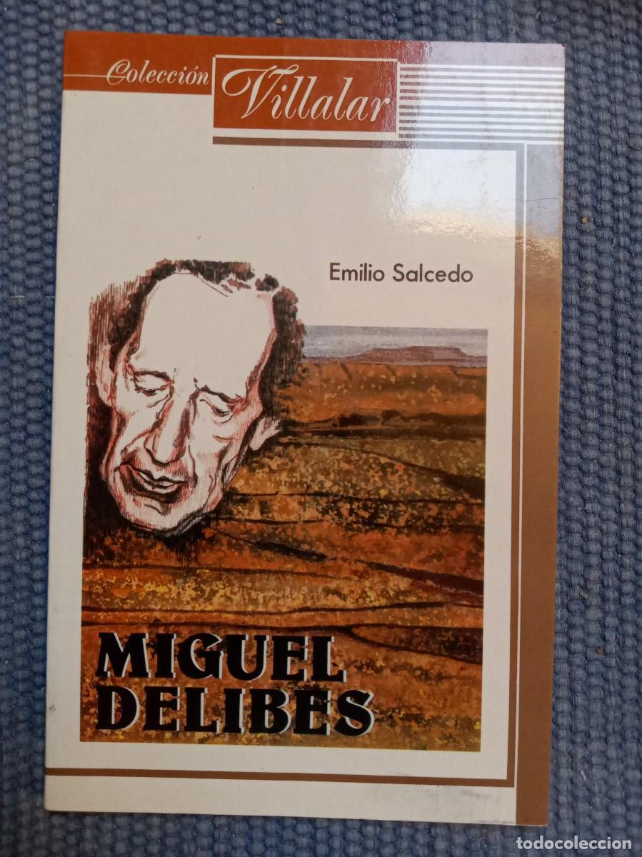 Libros de segunda mano: Miguel Delibes novelista de Castilla - Foto 1