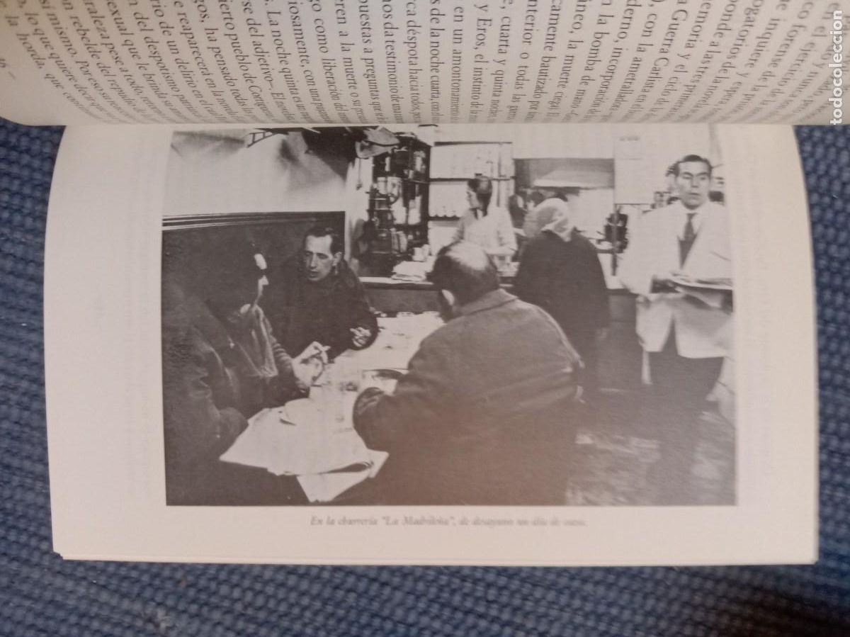 Libros de segunda mano: Miguel Delibes novelista de Castilla - Foto 2