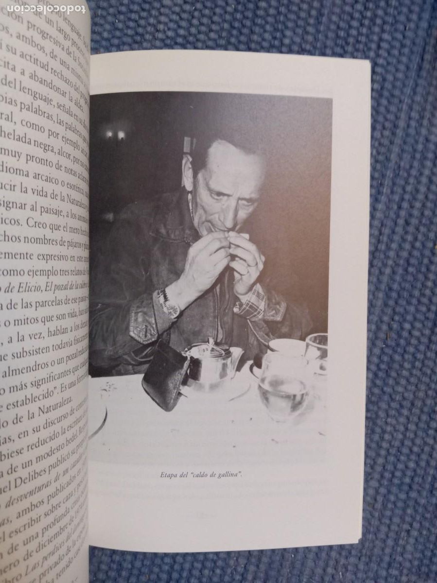 Libros de segunda mano: Miguel Delibes novelista de Castilla - Foto 3