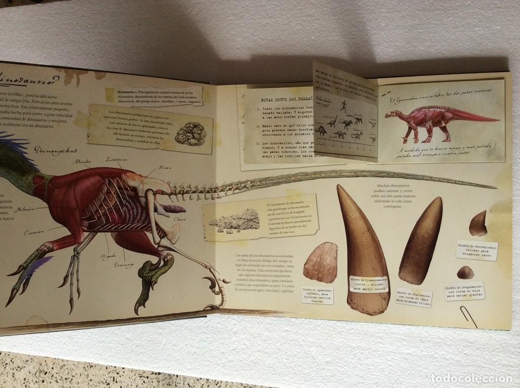 Libros de segunda mano: Dinosaurios Libro interactivo infantil, Montena - Foto 6