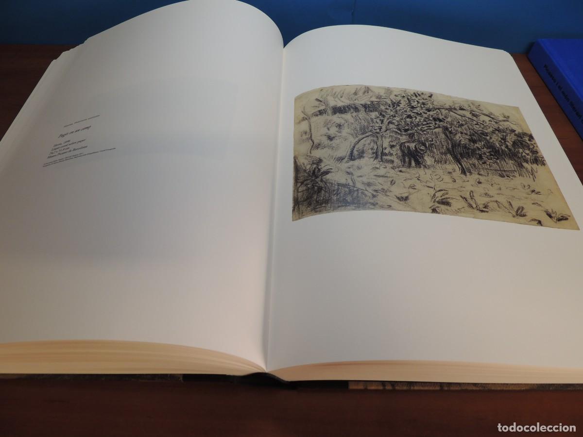 Libros de segunda mano: PICASSO. OBRA CATALANA - Foto 14