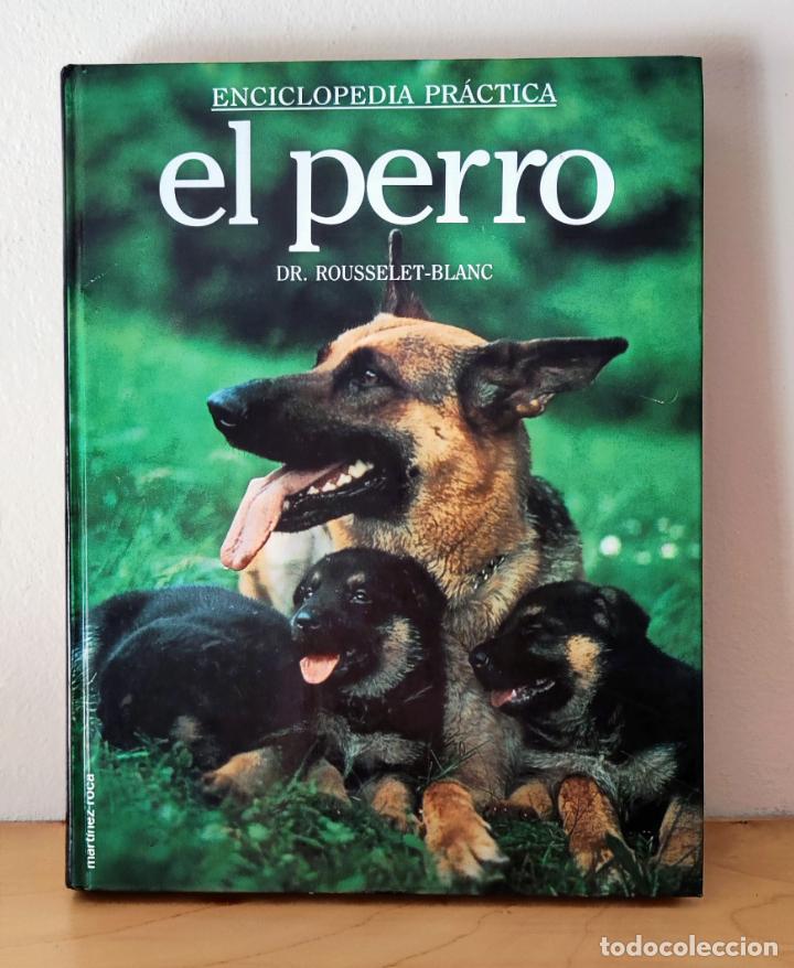 Libros de segunda mano: ENCICLOPEDIA PRACTICA EL PERRO - Dr. ROUSELET-BLANC - ED. MARTINEZ ROCA - Foto 2