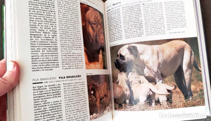 Libros de segunda mano: ENCICLOPEDIA PRACTICA EL PERRO - Dr. ROUSELET-BLANC - ED. MARTINEZ ROCA - Foto 4