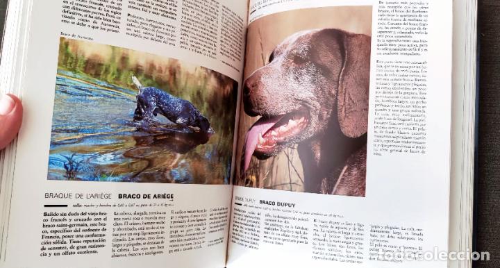 Libros de segunda mano: ENCICLOPEDIA PRACTICA EL PERRO - Dr. ROUSELET-BLANC - ED. MARTINEZ ROCA - Foto 5