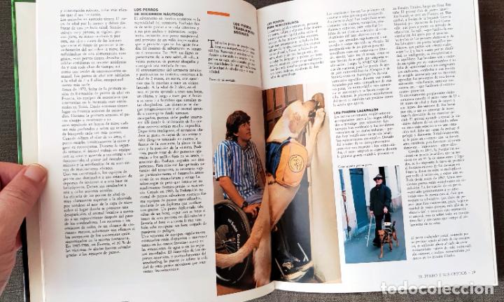 Libros de segunda mano: ENCICLOPEDIA PRACTICA EL PERRO - Dr. ROUSELET-BLANC - ED. MARTINEZ ROCA - Foto 6