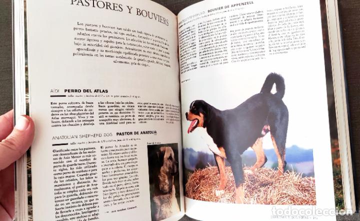 Libros de segunda mano: ENCICLOPEDIA PRACTICA EL PERRO - Dr. ROUSELET-BLANC - ED. MARTINEZ ROCA - Foto 7