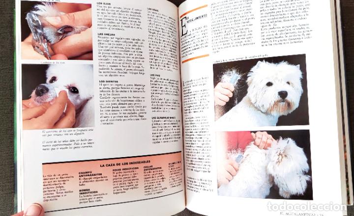 Libros de segunda mano: ENCICLOPEDIA PRACTICA EL PERRO - Dr. ROUSELET-BLANC - ED. MARTINEZ ROCA - Foto 8