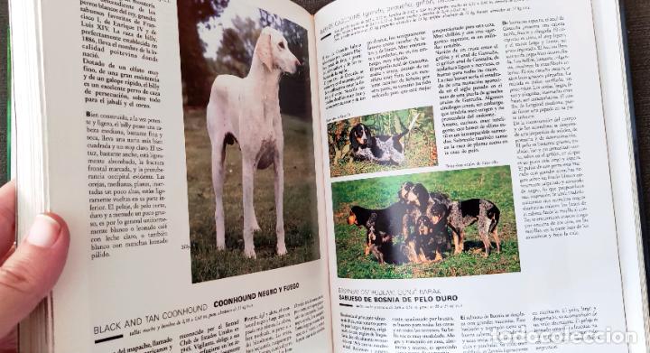 Libros de segunda mano: ENCICLOPEDIA PRACTICA EL PERRO - Dr. ROUSELET-BLANC - ED. MARTINEZ ROCA - Foto 9