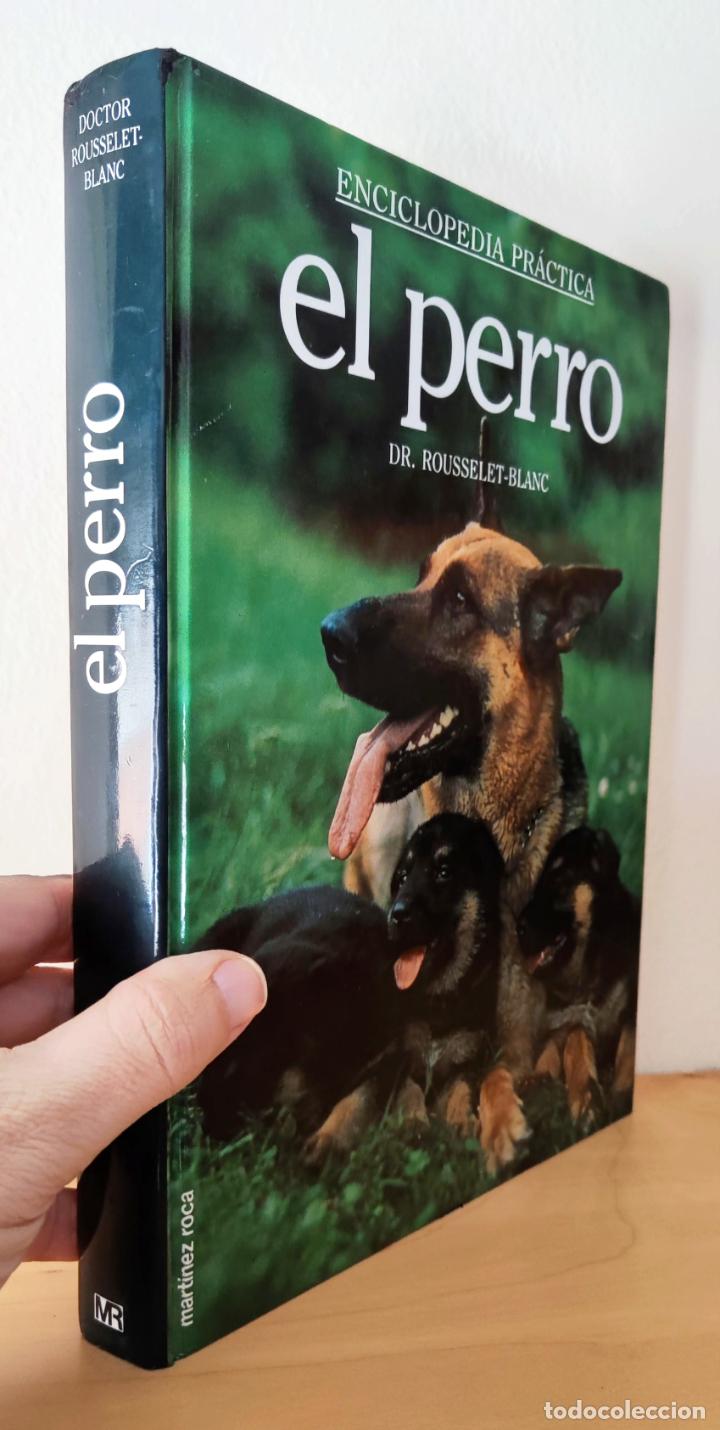 Libros de segunda mano: ENCICLOPEDIA PRACTICA EL PERRO - Dr. ROUSELET-BLANC - ED. MARTINEZ ROCA - Foto 1