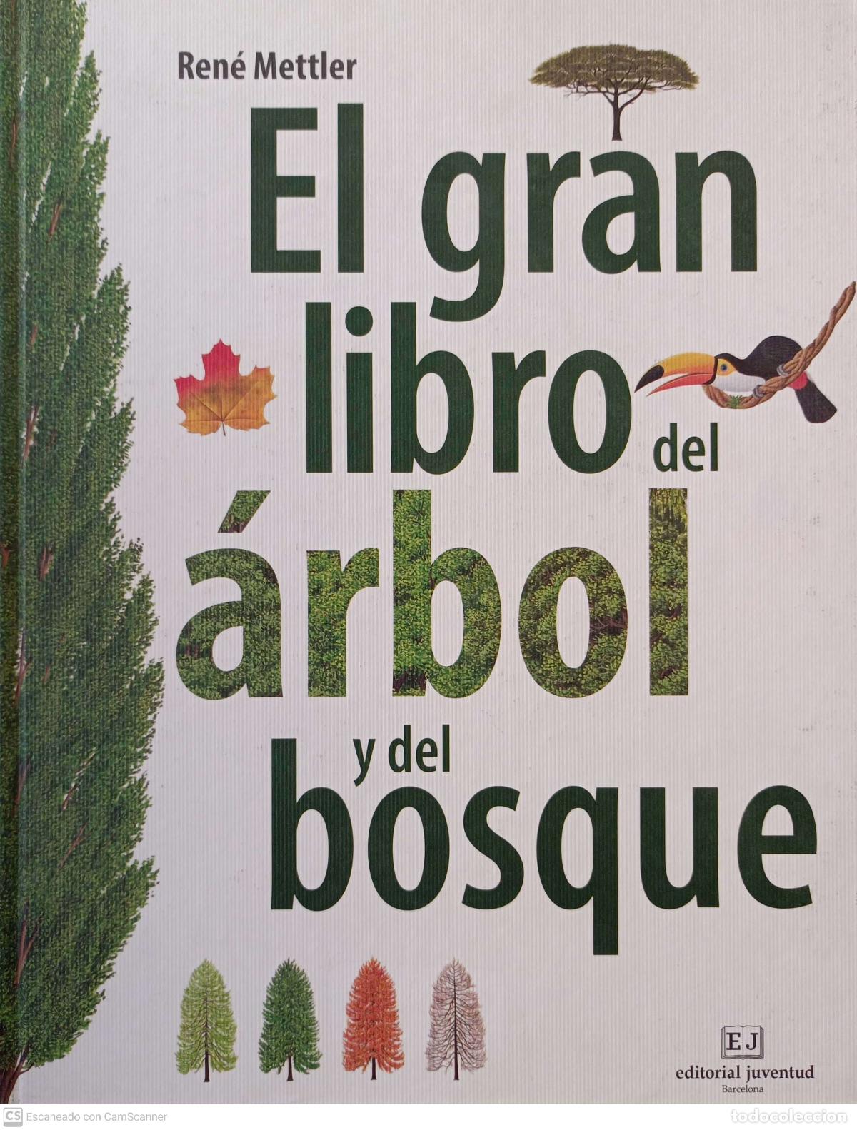 Libros de segunda mano: El gran libro del &aacute;rbol y del bosque - Ren&eacute; Mettler - Foto 1
