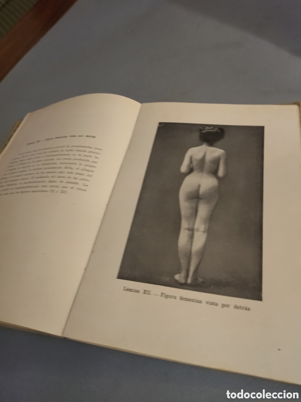Libros de segunda mano: FRIPP THOMPSON : ANATOM&Iacute;A ART&Iacute;STICA (GILI, 1945) 3&ordf; edici&oacute;n - Foto 7